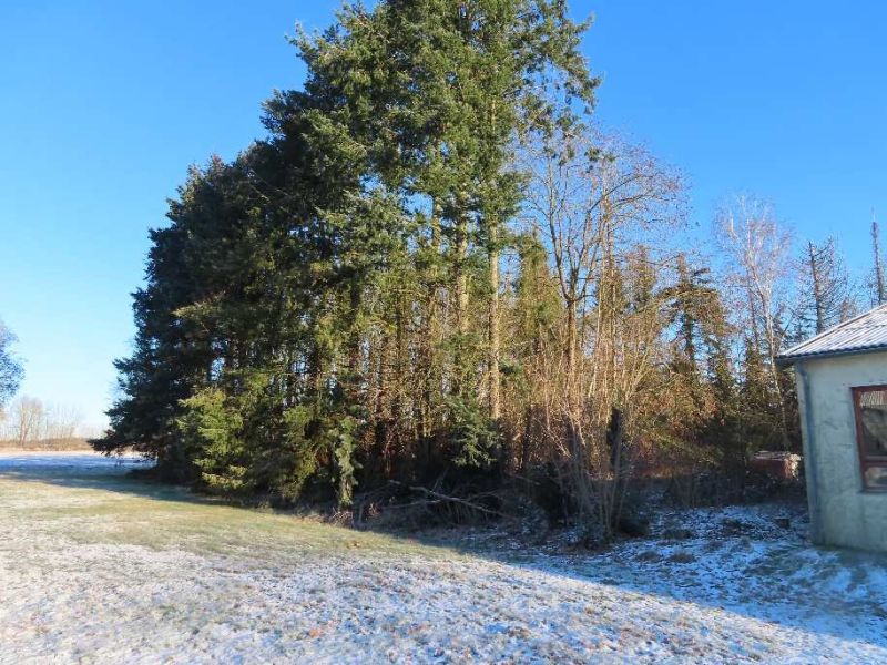 Gewerbeobjekt in Klingelhoern 2, 29588 Oetzen - Bild 4
