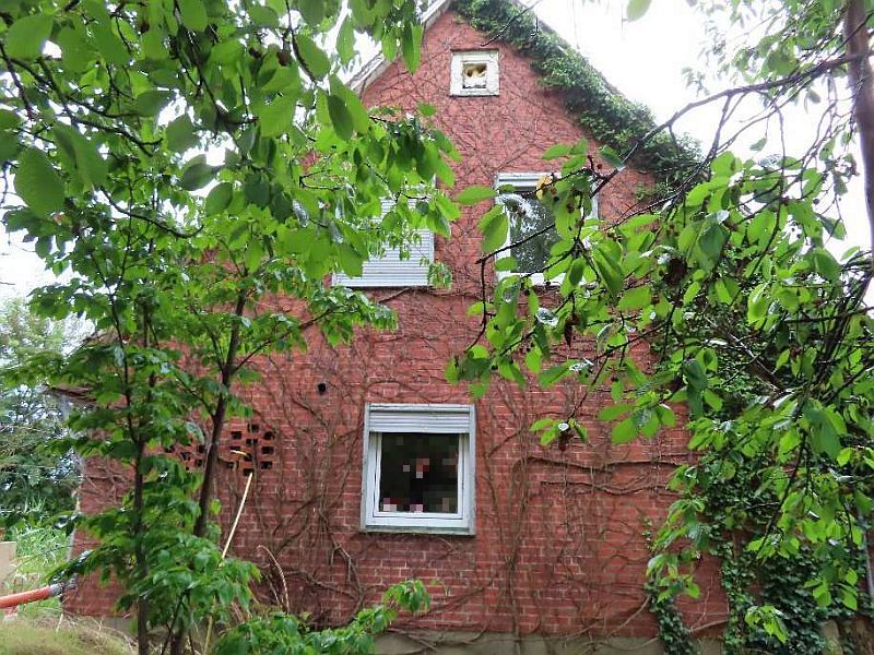 Einfamilienhaus in Am Bruchtorfer Weg 5, 29533 Bienenbüttel - Edendorf - Bild 2