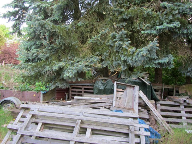Mehrfamilienhaus in Untere Dorfstraße 7, 29593 Schwienau, Linden - Bild 2
