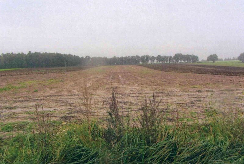 Bauerngehöft in Seedorfer Straße 19, 29549 Bad Bevensen, Seedorf - Bild 5