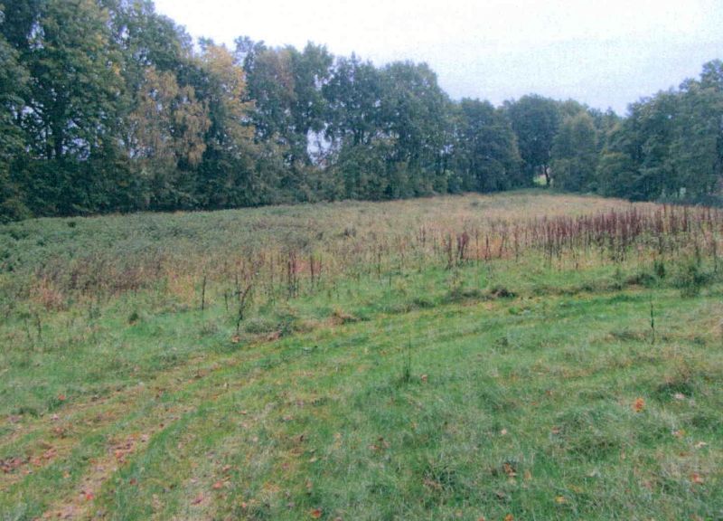 niedersachsen 7 K 4-23 Seedorfer Straße 19, 29549 Bad Bevensen, Seedorf 7