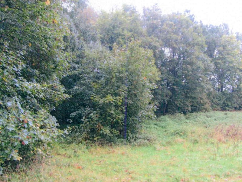 niedersachsen 7 K 4-23 Seedorfer Straße 19, 29549 Bad Bevensen, Seedorf 8