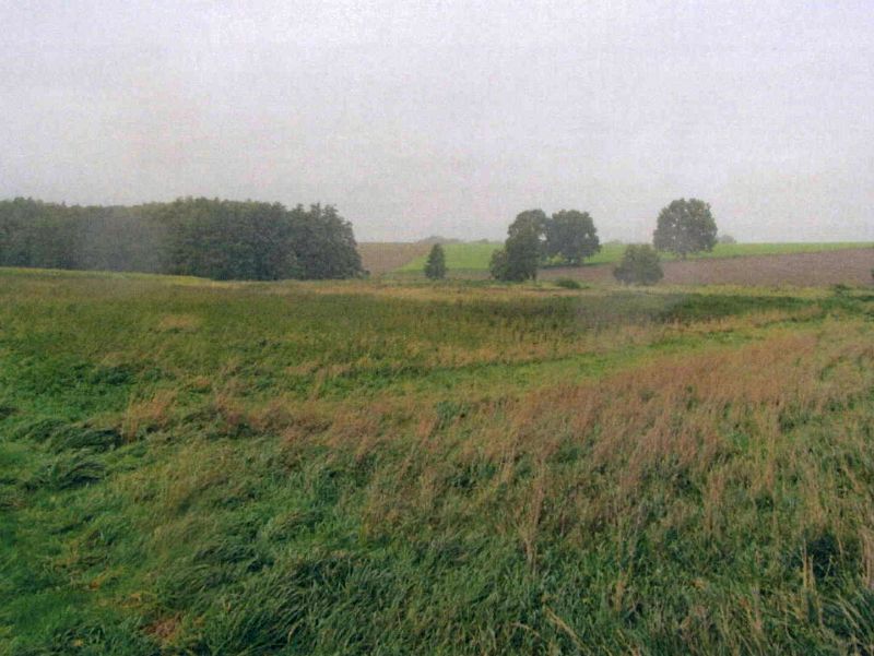 Bauerngehöft in Seedorfer Straße 19, 29549 Bad Bevensen, Seedorf - Bild 4
