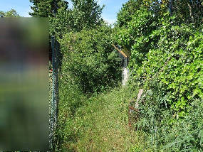 niedersachsen 8 K 3/25 Wittenberger Straße 23, 38350 Helmstedt 16