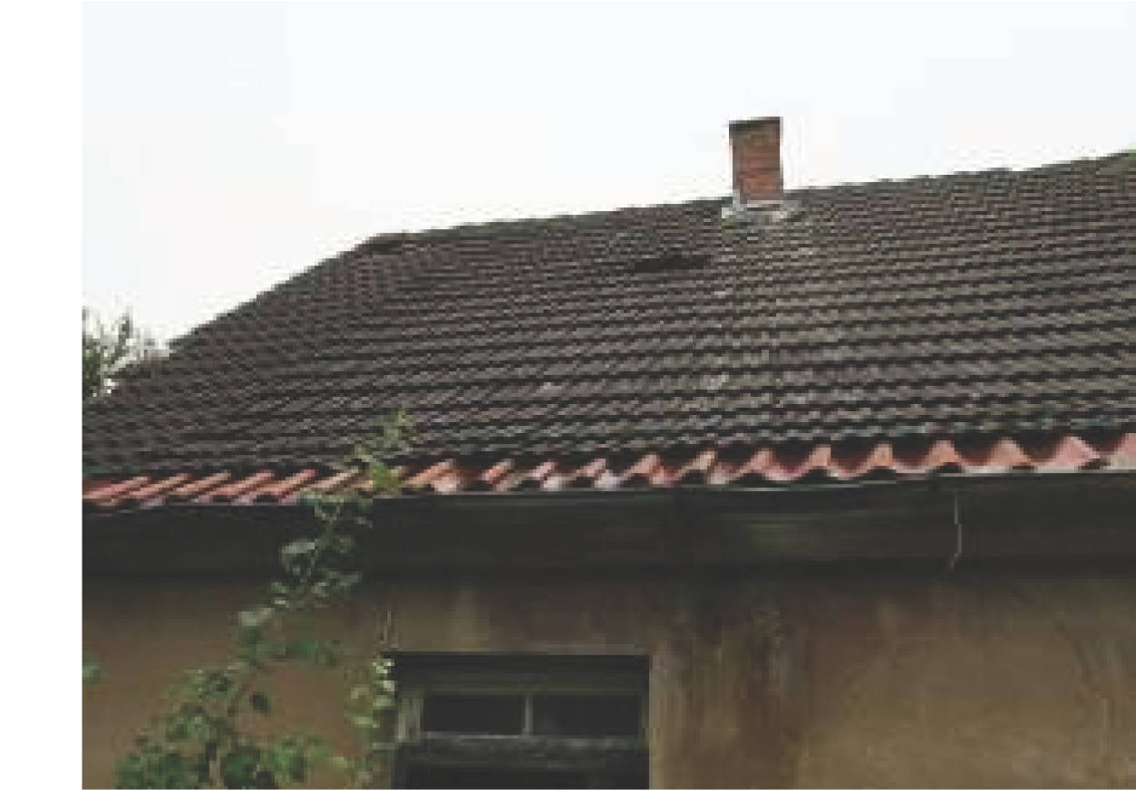 niedersachsen 8 K 7/23 Ulmenweg 10, 38154 Königslutter am Elm 19