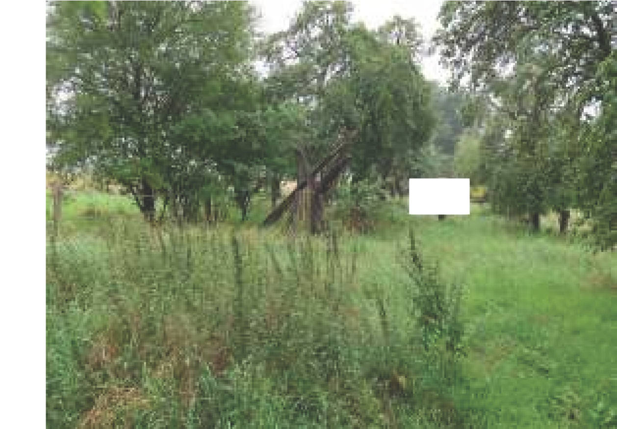 niedersachsen 8 K 7/23 Ulmenweg 10, 38154 Königslutter am Elm 10