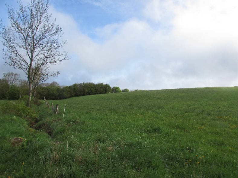 Nordrhein-Westfalen 0001K0009-2022 Hinter dem Iversheimer Berg, 53945 Blankenheim, Mülheim