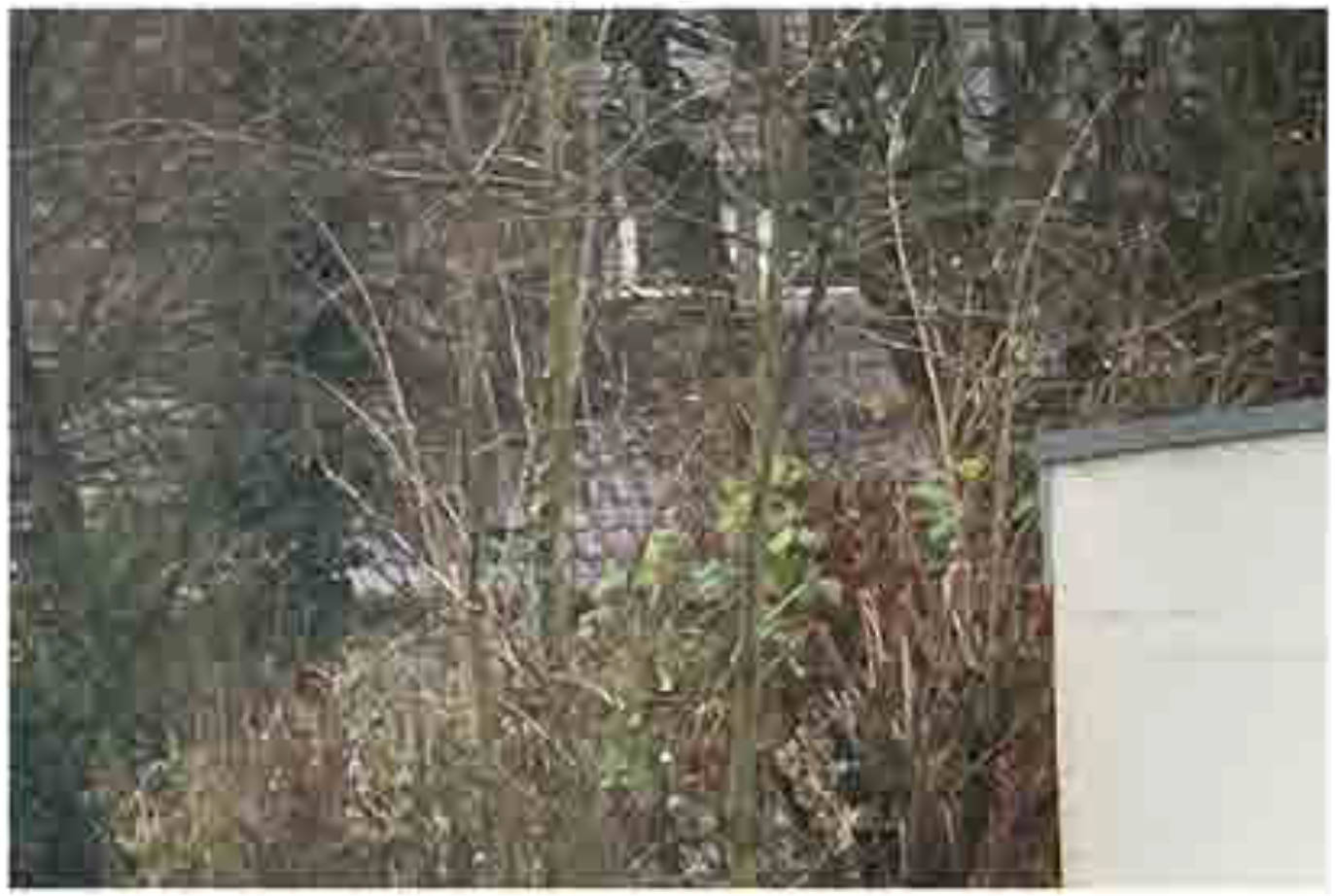 nordrheinwestpfalen 0001 K 0009/2025 Goethestraße 11, 33378 Rheda-Wiedenbrück, Rheda 7