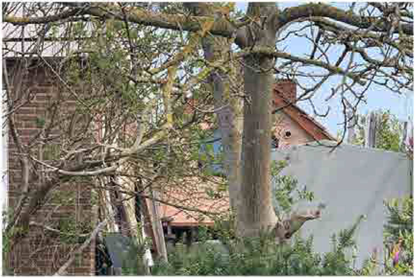 nordrheinwestpfalen 0001 K 0010/2023 Breslauer Straße 46, 33378 Rheda-Wiedenbrück, Rheda 23