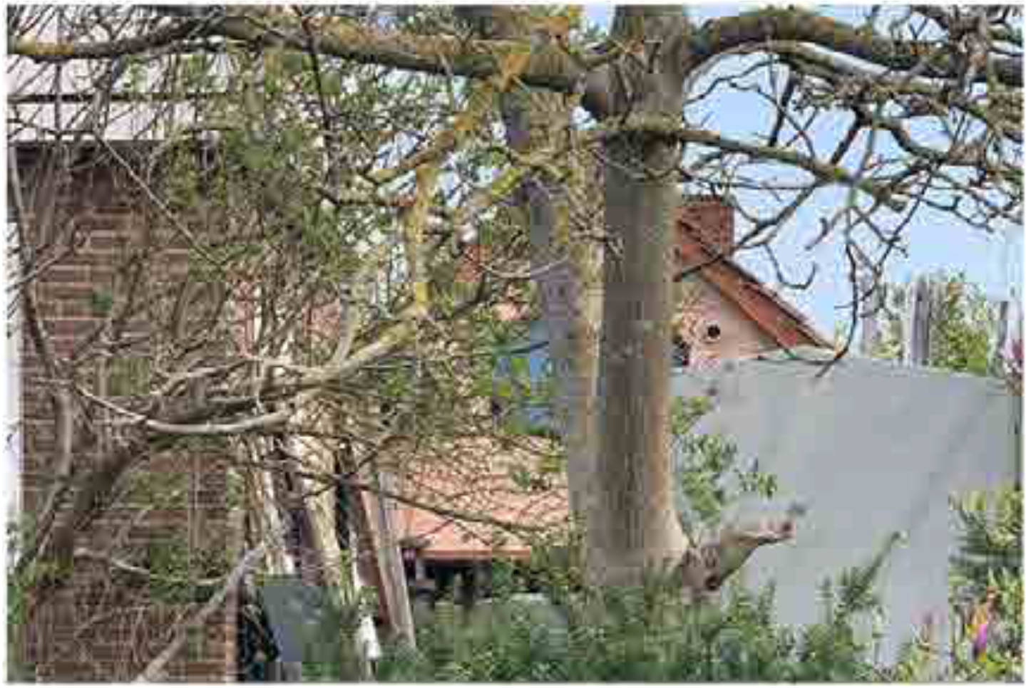 nordrheinwestpfalen 0001K0010/2023 Breslauer Straße 46, 33378 Rheda-Wiedenbrück, Rheda 19