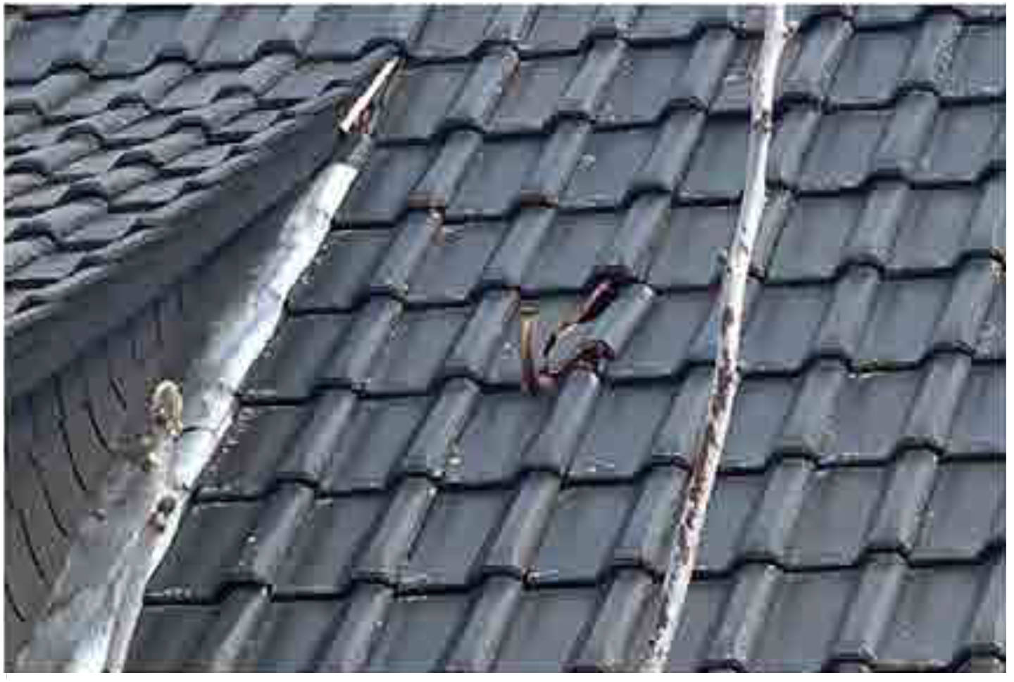 nordrheinwestpfalen 0001K0010/2023 Breslauer Straße 46, 33378 Rheda-Wiedenbrück, Rheda 15