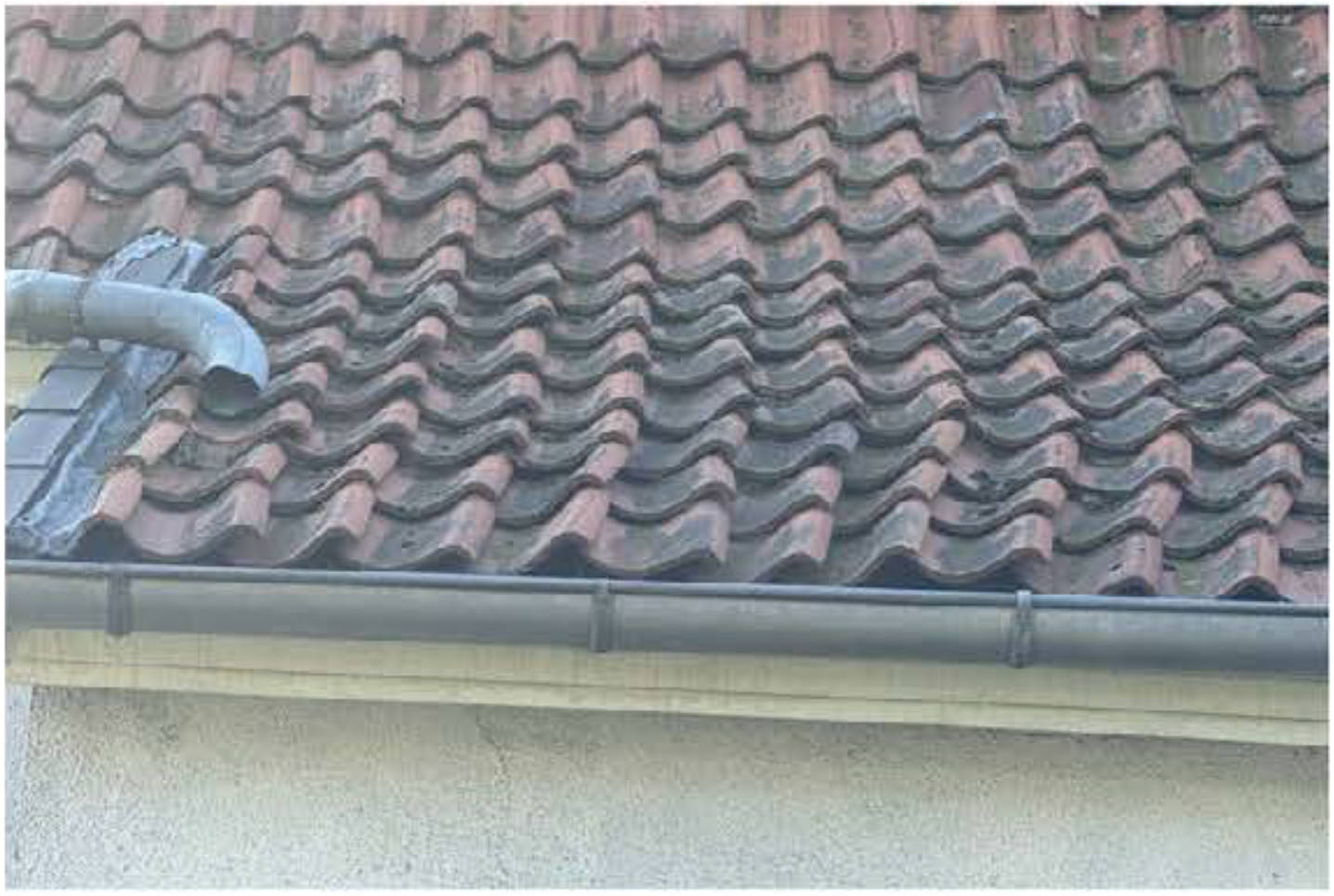 nordrheinwestpfalen 0001K0012-2023 Ringstraße 158, 33378 Rheda-Wiedenbrück, Wiedenbrück