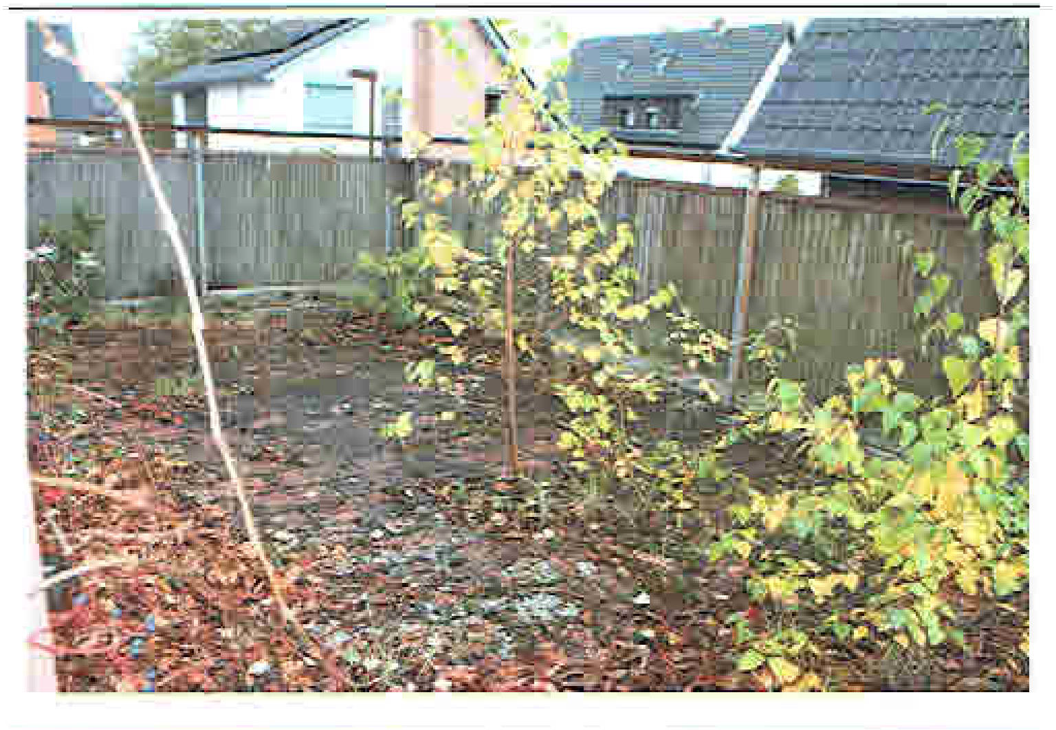 nordrheinwestpfalen 0001K0017-2022 Uhlandstraße 10, 33442 Herzebrock-Clarholz, Herzebrock
