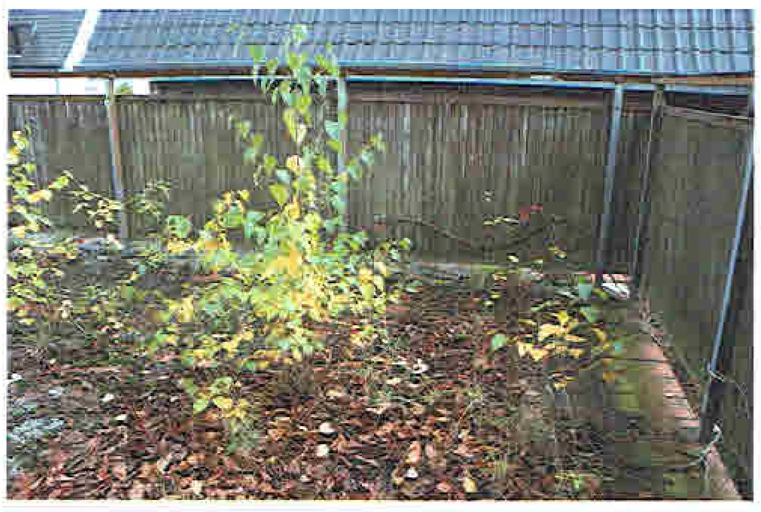 nordrheinwestpfalen 0001K0017-2022 Uhlandstraße 10, 33442 Herzebrock-Clarholz, Herzebrock