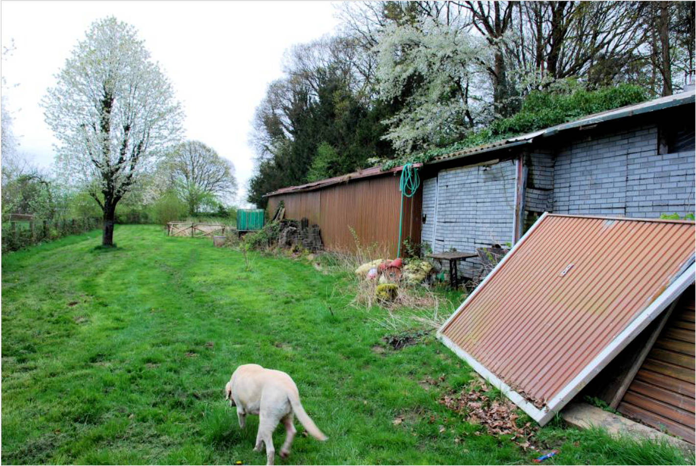 nordrheinwestpfalen 0002 K 0001/2025 Weyerbuscher Straße 45, 51570 Windeck, Leuscheid 6