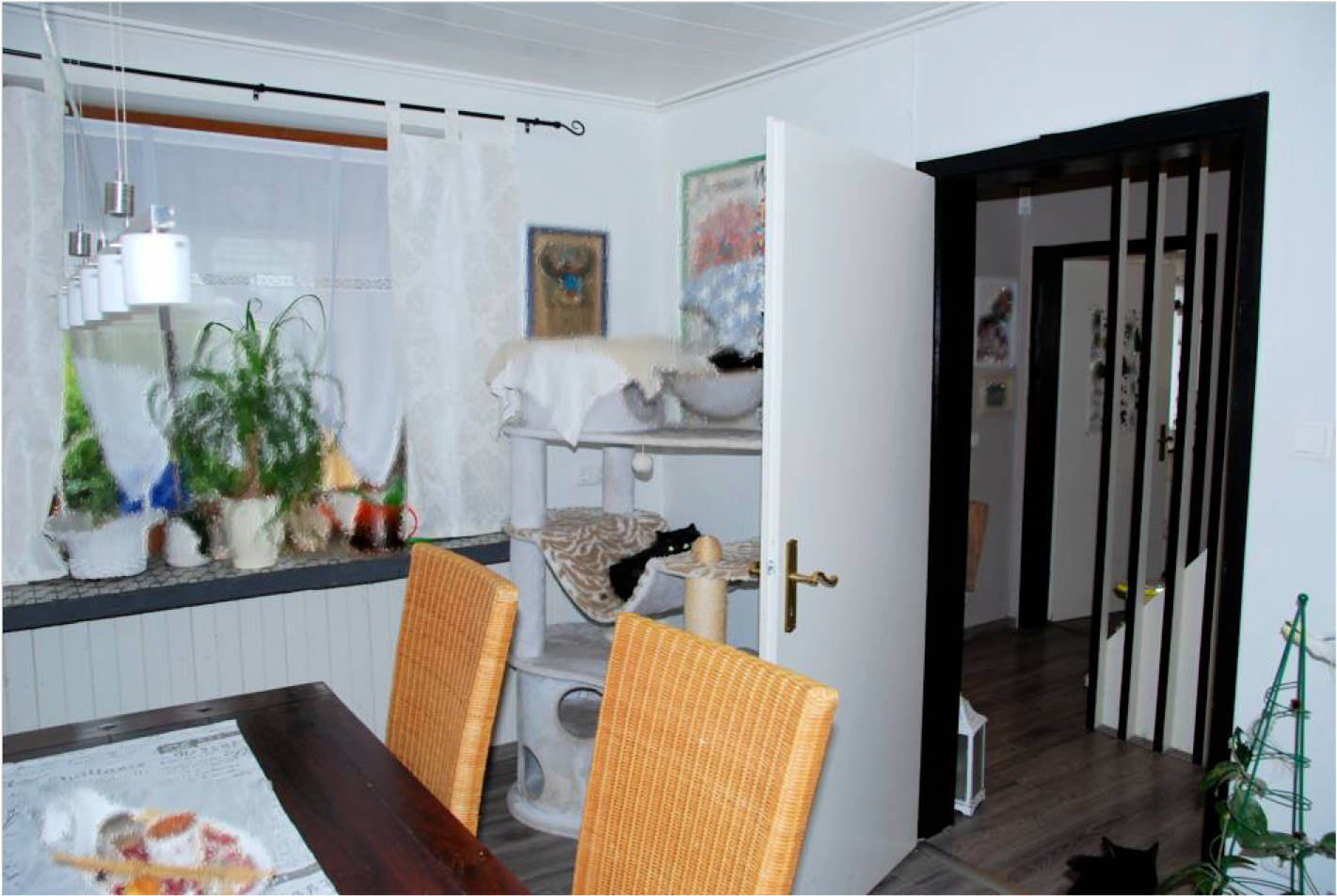 nordrheinwestpfalen 0002 K 0001/2025 Weyerbuscher Straße 45, 51570 Windeck, Leuscheid 24