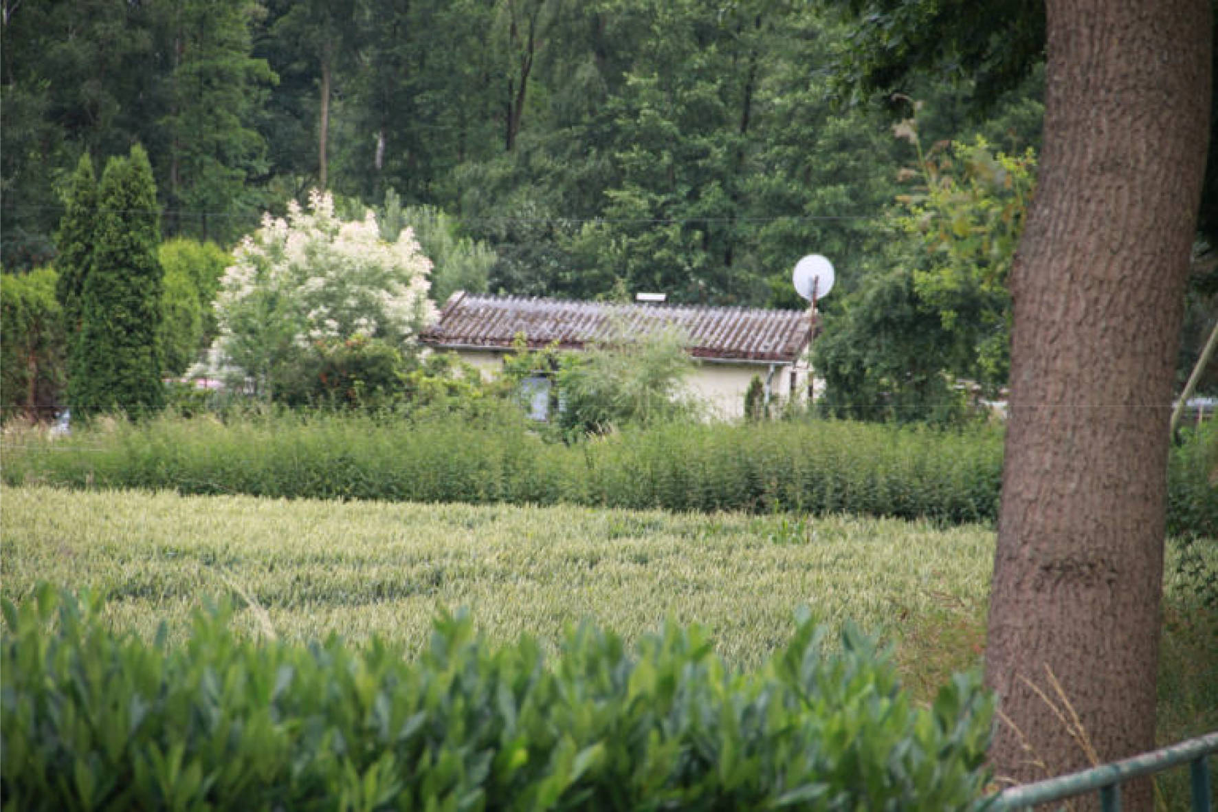 nordrheinwestpfalen 0002K0002-2018 Deppengau 30, 48346 Ostbevern 18