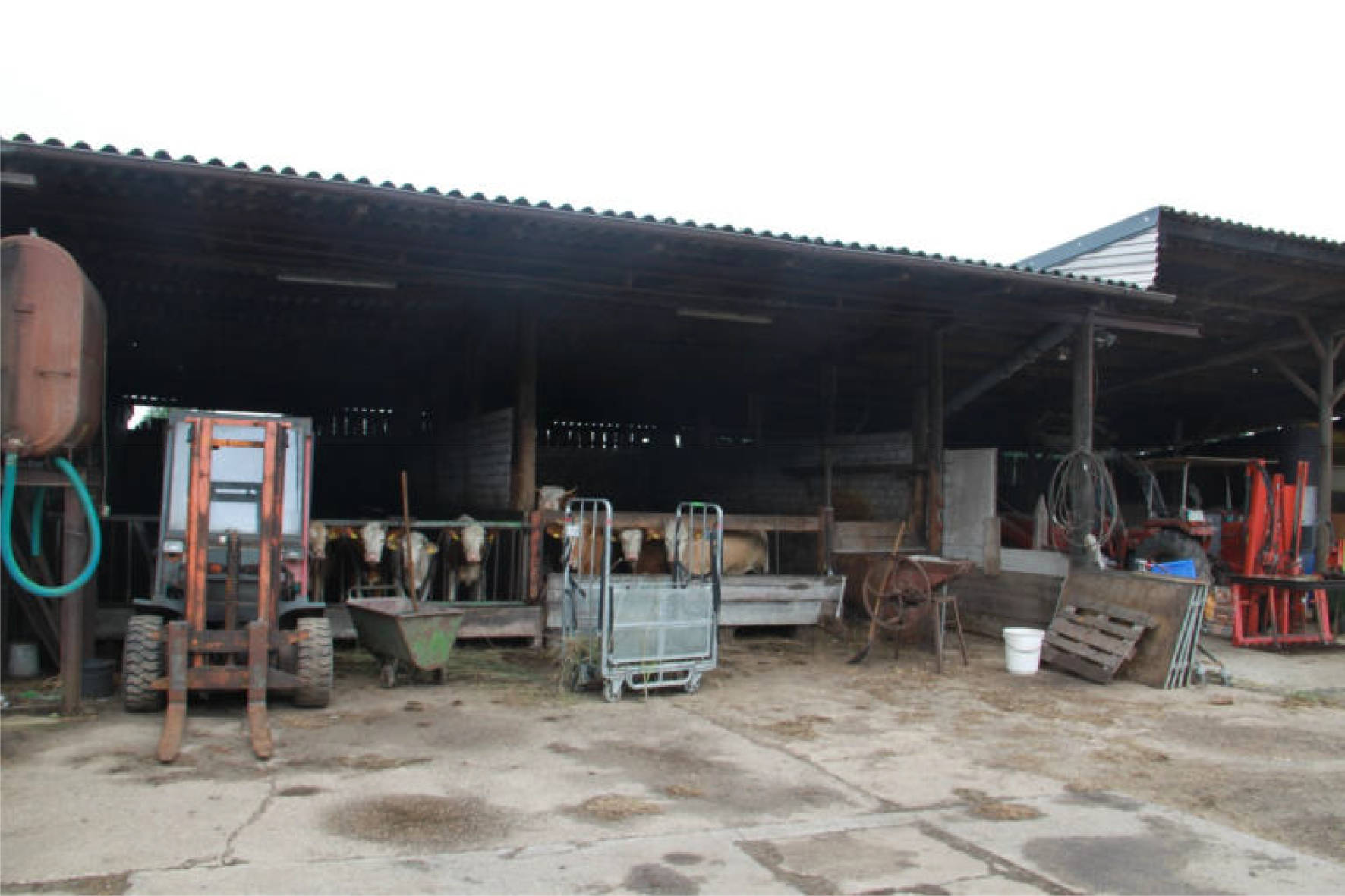 Landwirtschaftliche Flächen mit einem Wohngebäude (Deppengau 30) in Deppengau 30, 48346 Ostbevern - Bild 3
