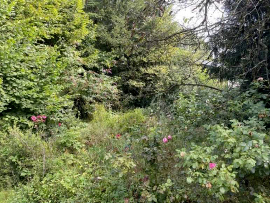 Einfamilienhaus in Im Winkel 15, 51580 Reichshof, Schalenbach - Bild 2