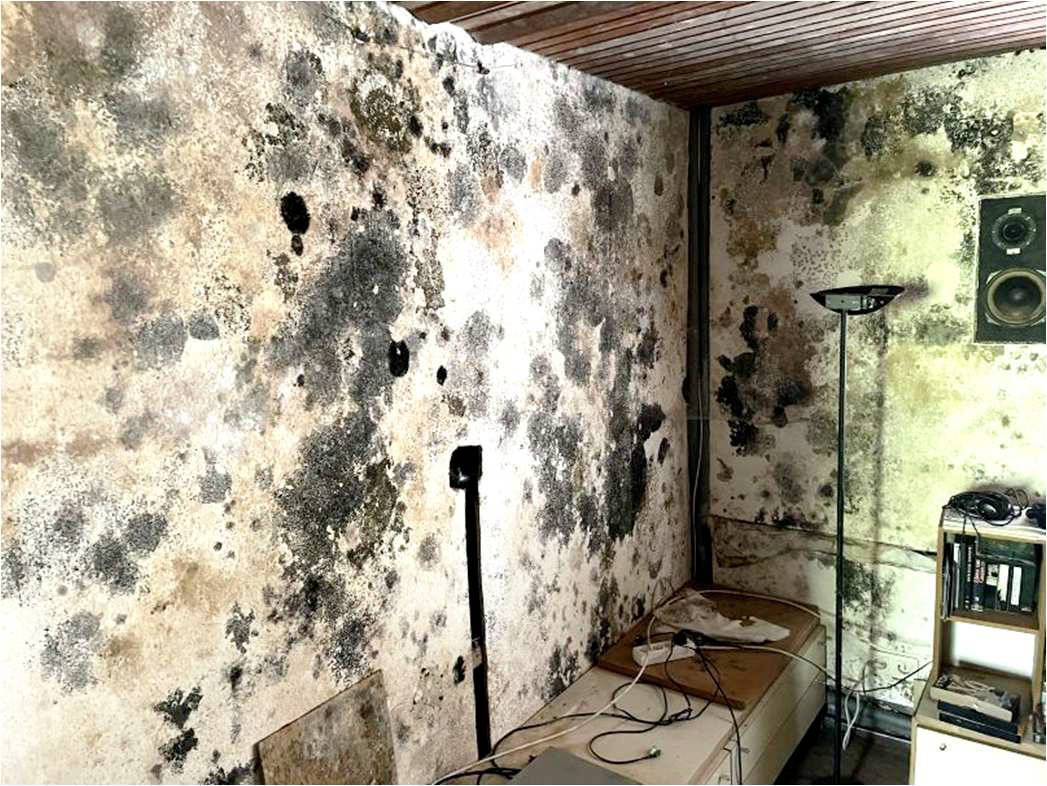 nordrheinwestpfalen 0002K0003/2024 Im Winkel 15, 51580 Reichshof, Schalenbach 13