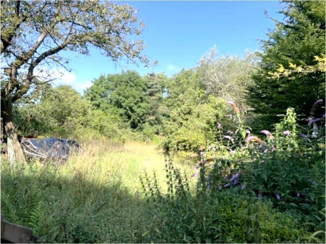 nordrheinwestpfalen 0002K0003/2024 Im Winkel 15, 51580 Reichshof, Schalenbach 19