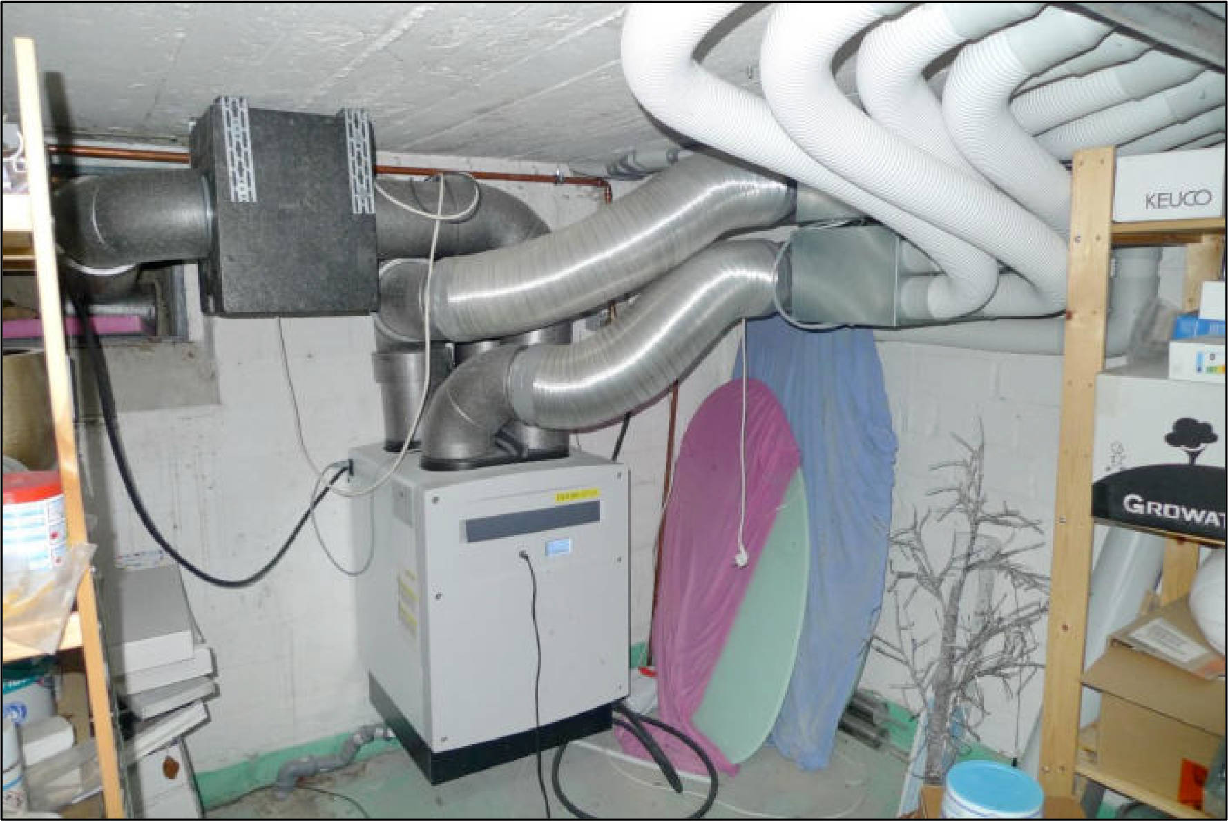 nordrheinwestpfalen 0002K0006/2023 Prozessionsweg 10, 59387 Ascheberg, Herbern 17