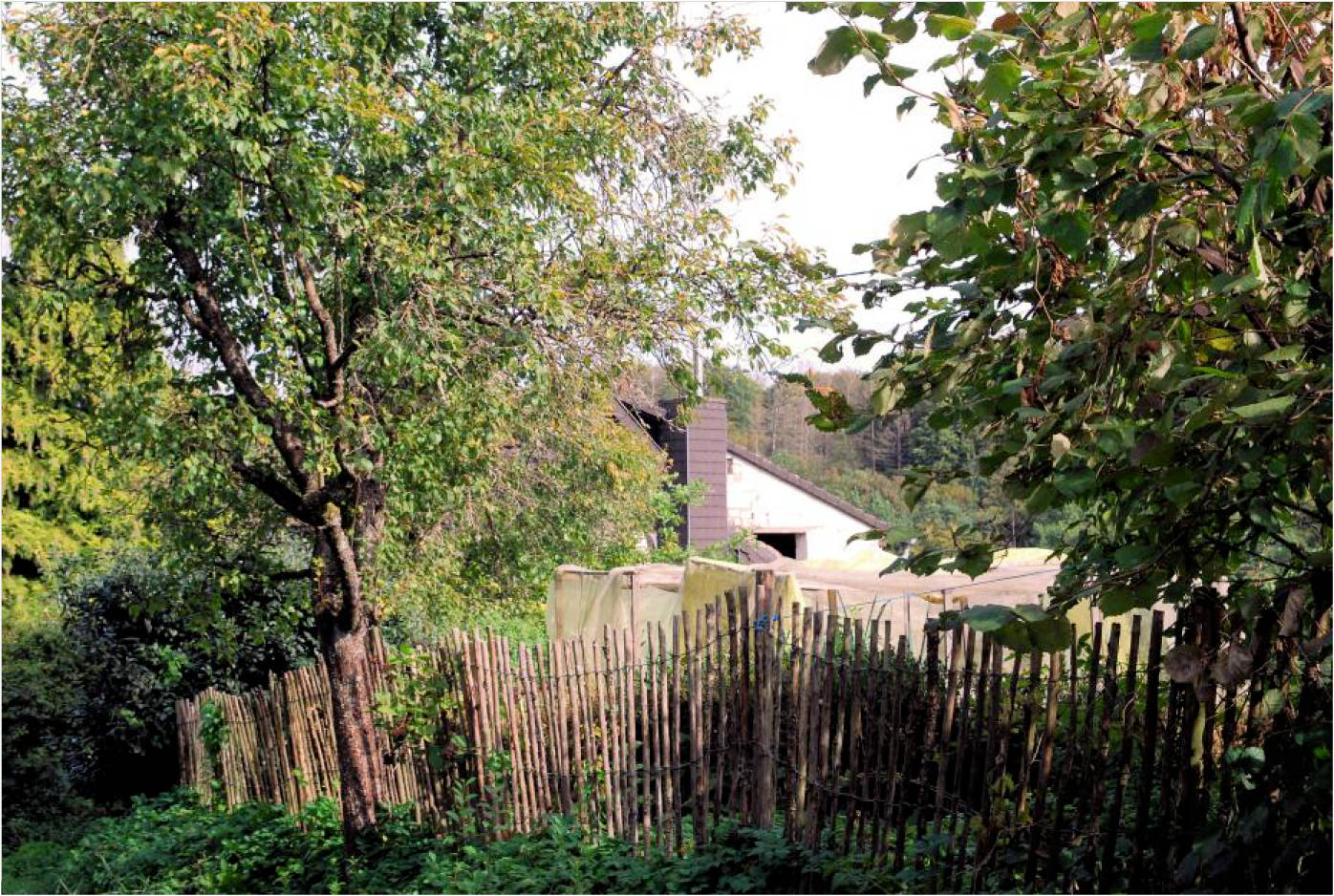 nordrheinwestpfalen 0002K0008-2023 Heisbergstraße 6, 51570 Windeck, Lüttershausen