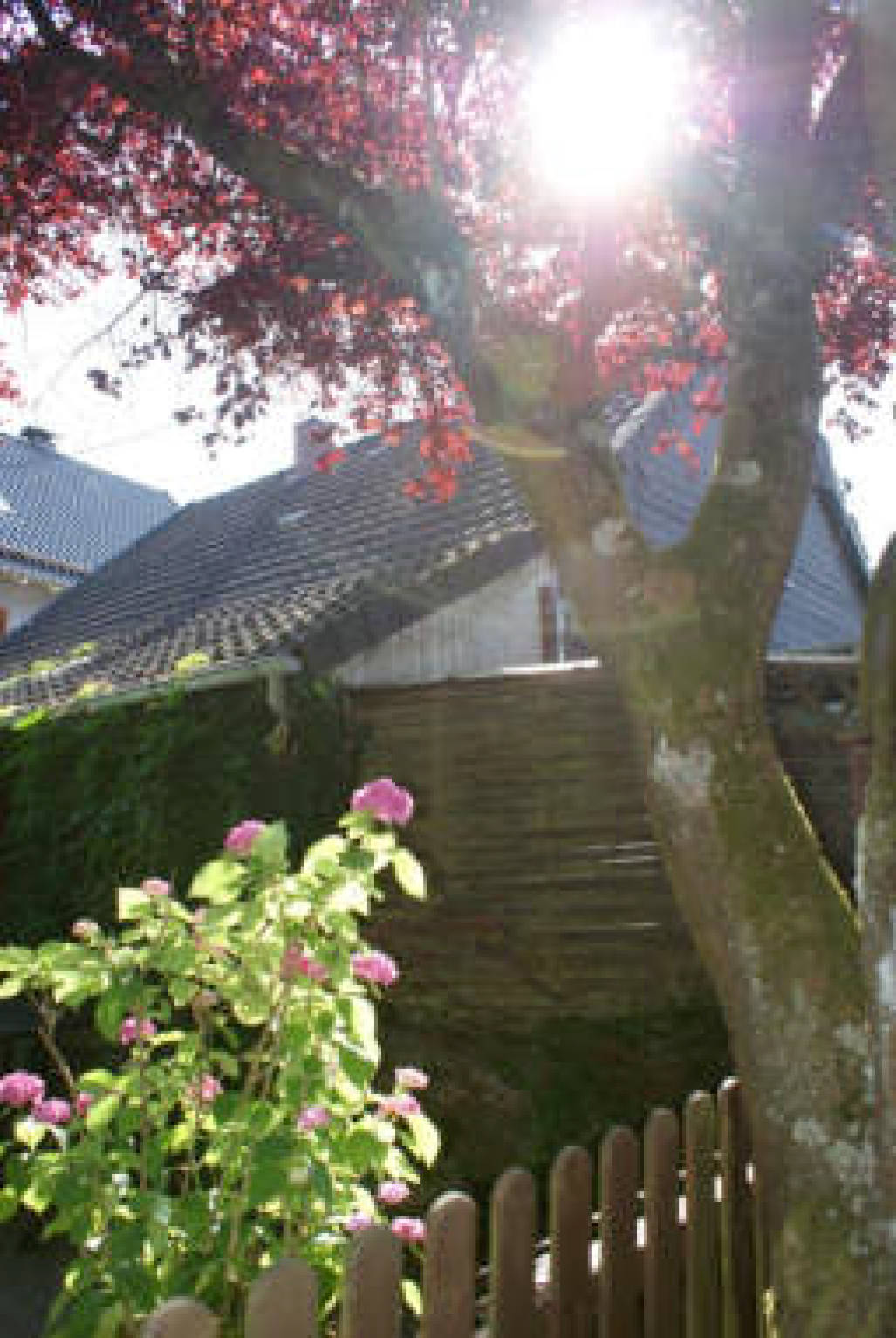 Kfz-Stellplatz, Einfamilienhaus, kleines altes Wohnhaus (ehem. Stall) auf kleinem Grundstück in mäßigem Zustand ohne Innenbesichtigung in Brölstraße 67, 51545 Waldbröl - Bild 3