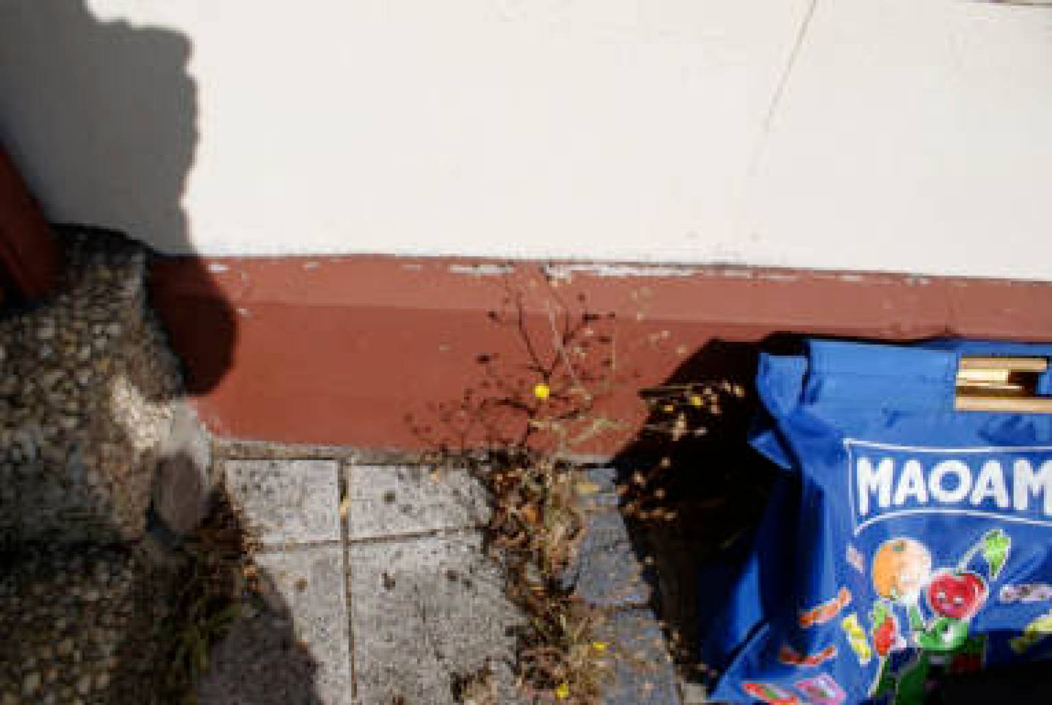 Kfz-Stellplatz, Einfamilienhaus, kleines altes Wohnhaus (ehem. Stall) auf kleinem Grundstück in mäßigem Zustand ohne Innenbesichtigung in Brölstraße 67, 51545 Waldbröl - Bild 2