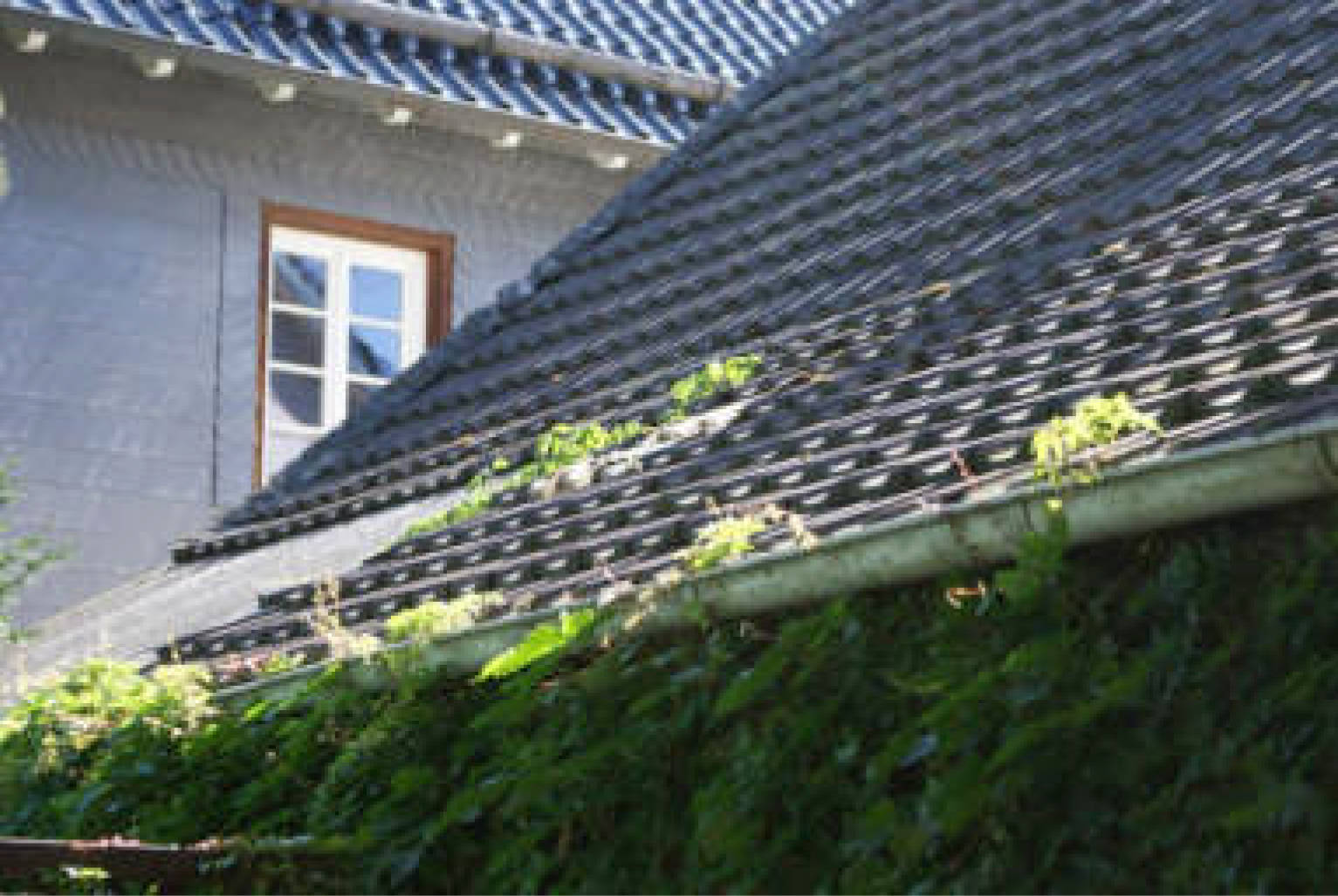 nordrheinwestpfalen 0002K0009-2023 Brölstraße 67, 51545 Waldbröl 16
