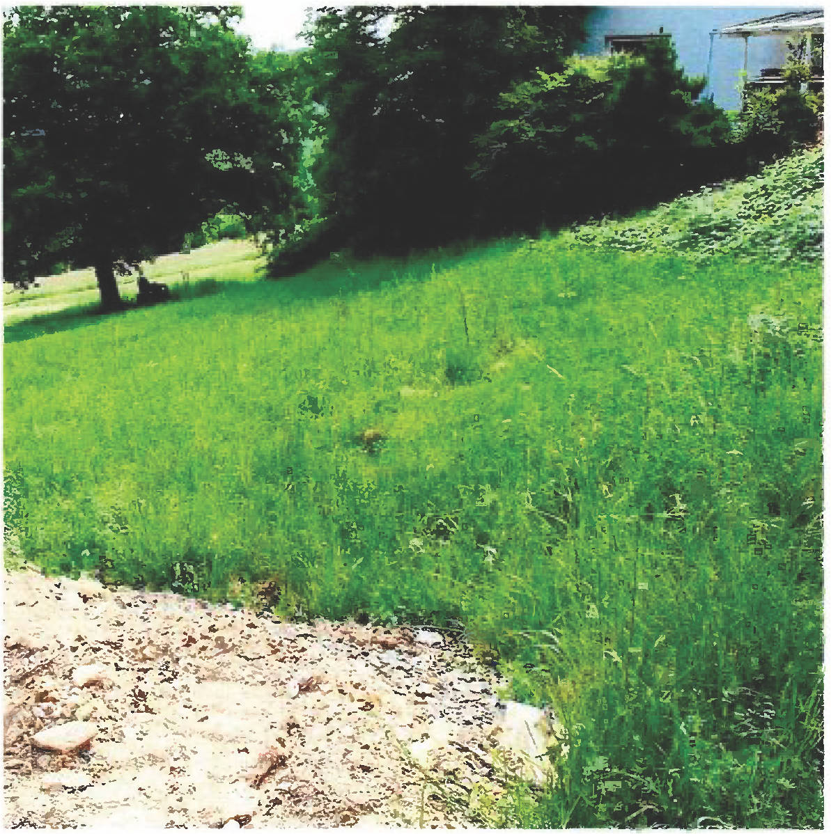 Baugrundstück in Ritterseifener Weg, neben Haus Nr. 30, 51597 Morsbach, Appenhagen