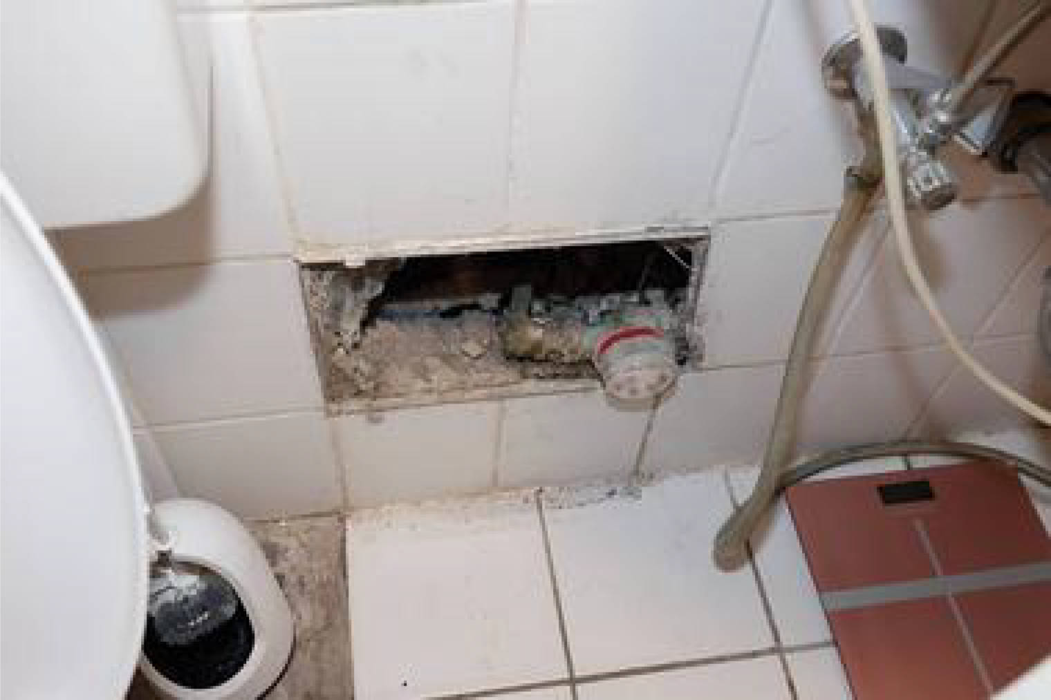 nordrheinwestpfalen 0002 K 0012/2024 Hellweg 30, 59423 Unna 8