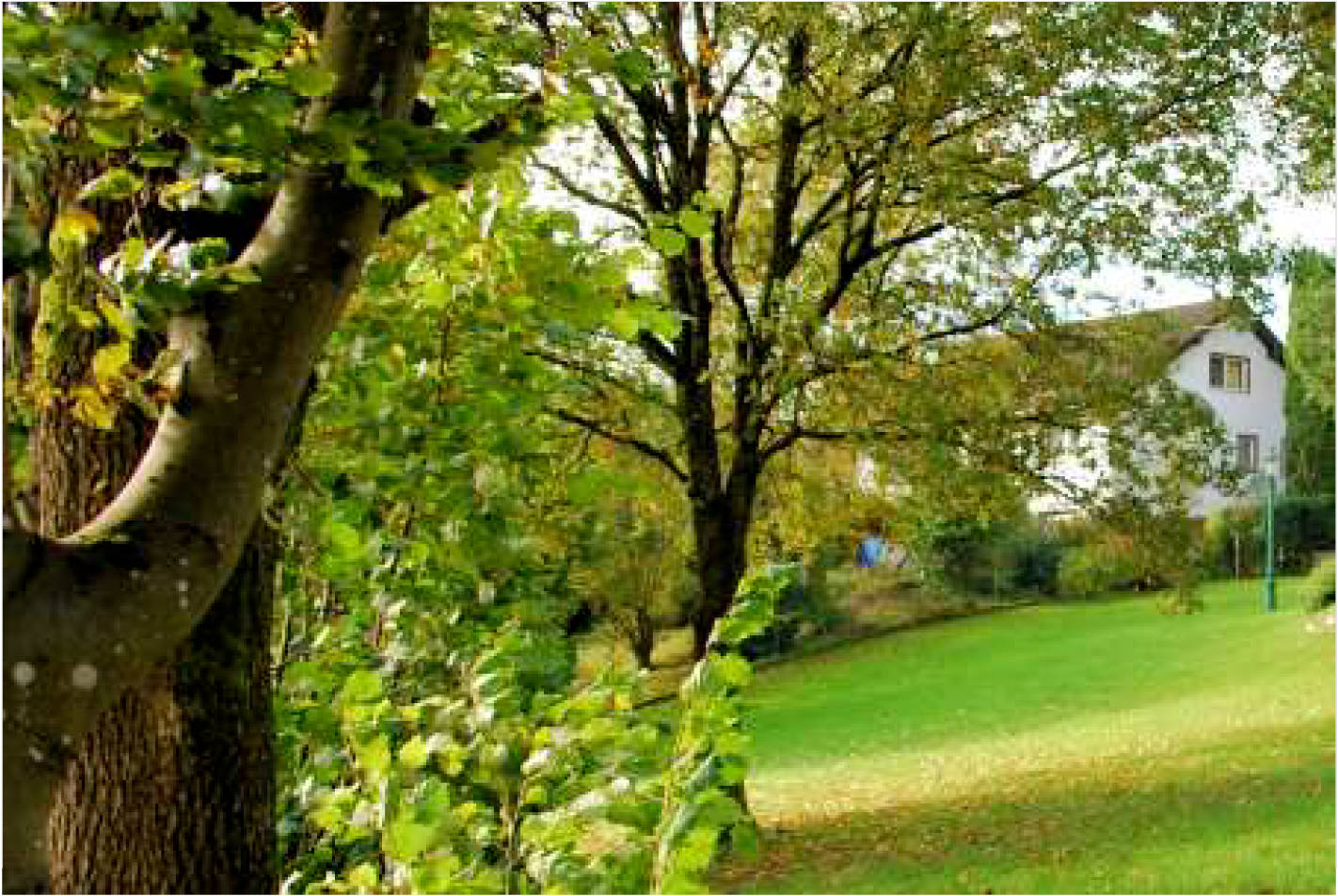 Garage, Einfamilienhaus, und Gästehaus in Jürgesweg 12 + 14, 51588 Nümbrecht, Bierenbachtal - Bild 5