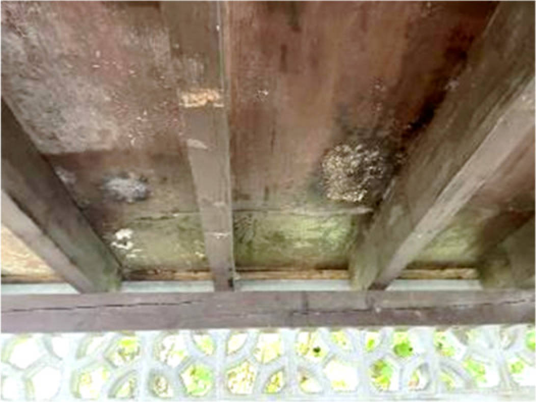 nordrheinwestpfalen 0002 K 0020/2025 Driescher Straße 20, 51588 Nümbrecht, Bierenbachtal 17