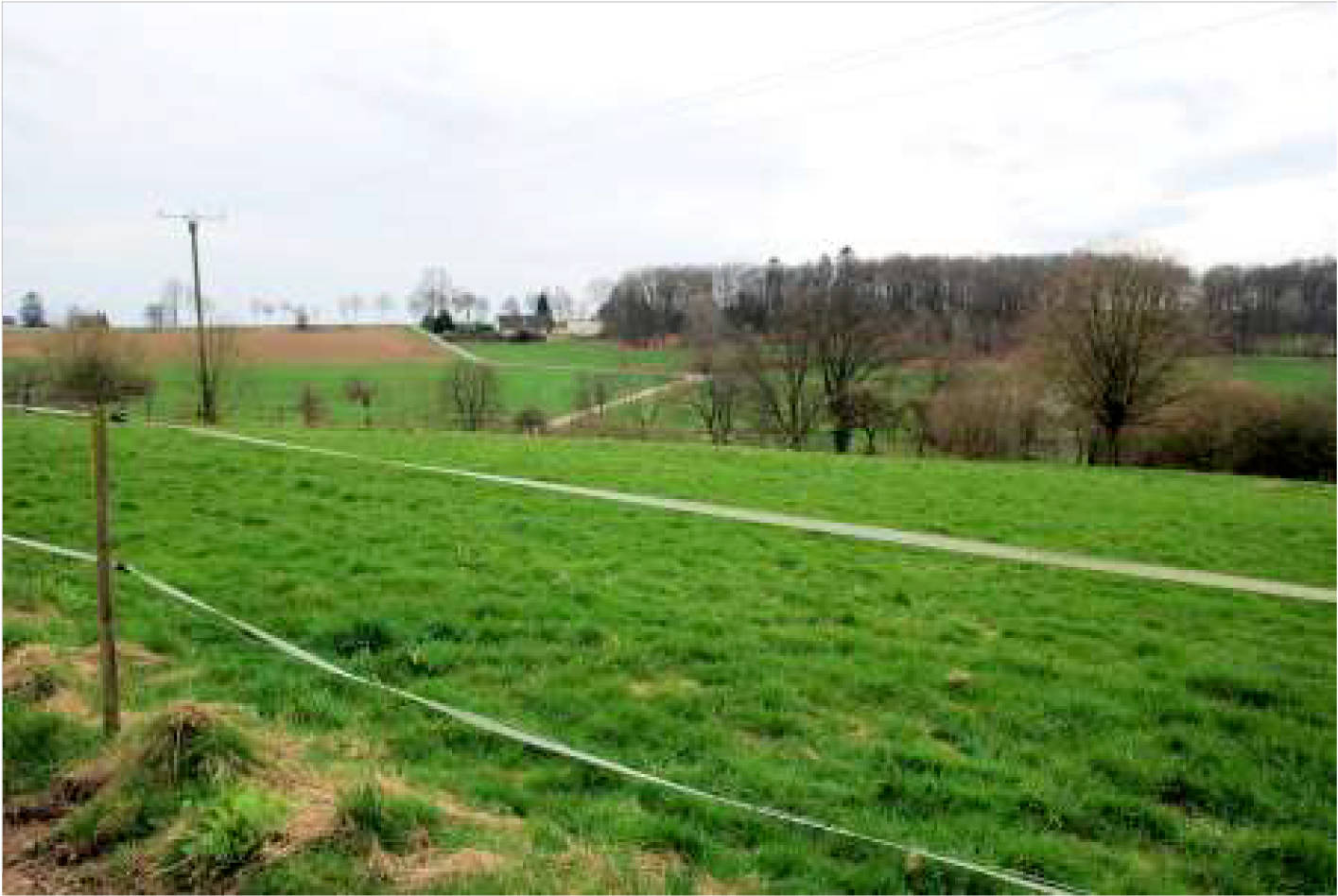nordrheinwestpfalen 0002K0104-2023 In der Altenwiese/In der Freiheit, 51545 Waldbröl, Hermesdorf