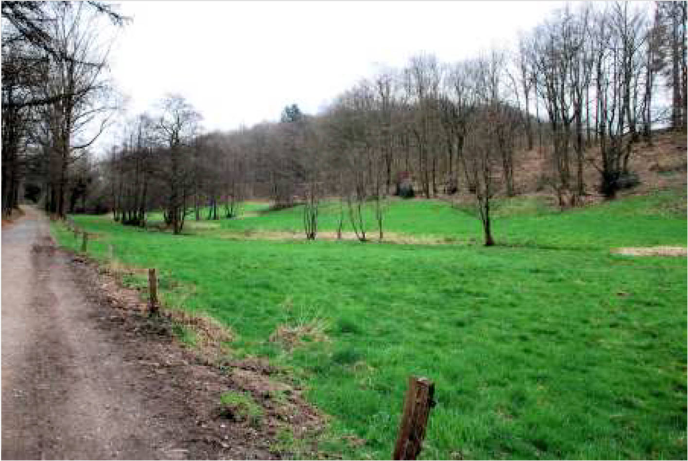 nordrheinwestpfalen 0002K0104-2023 In der Altenwiese/In der Freiheit, 51545 Waldbröl, Hermesdorf