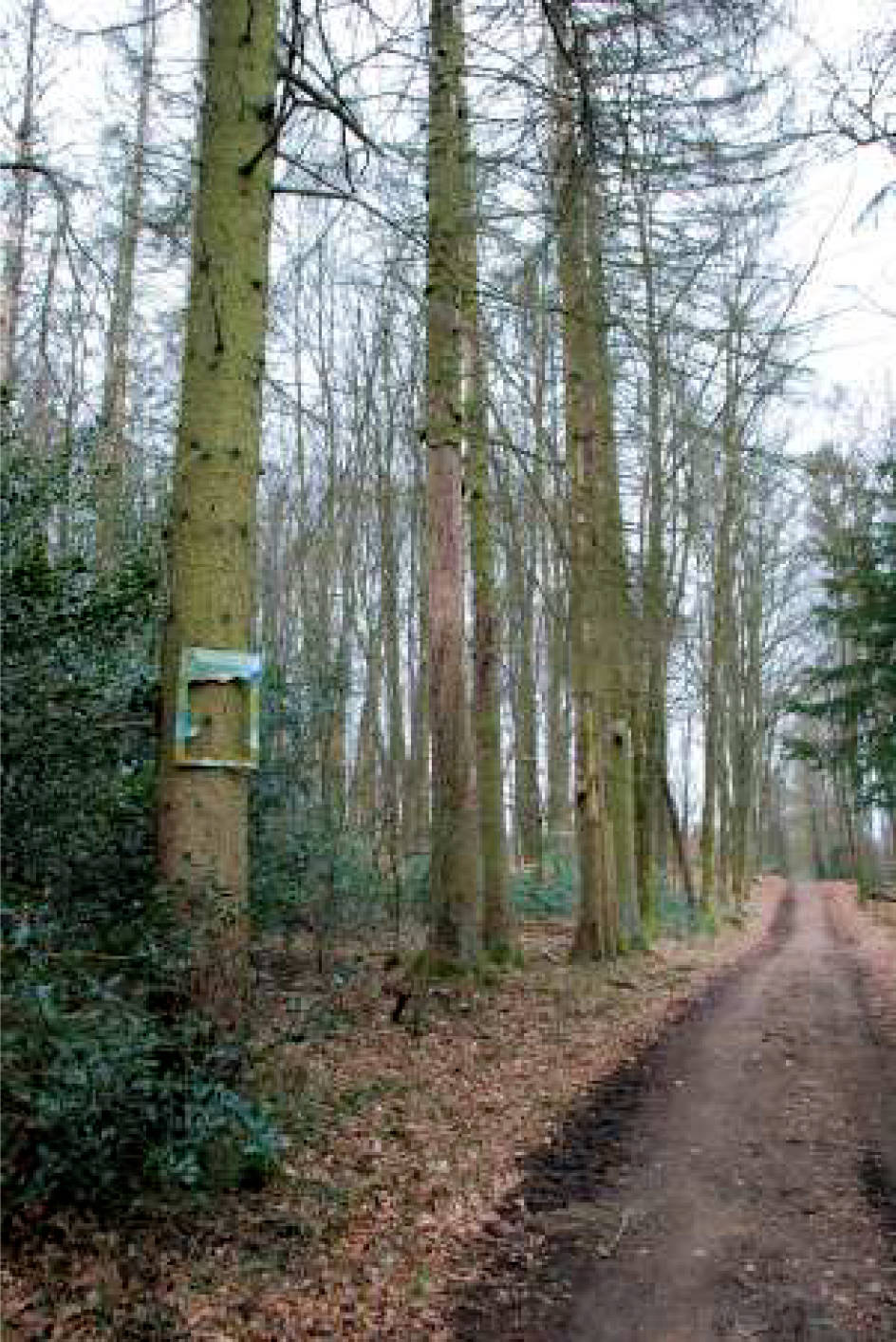 nordrheinwestpfalen 0002K0104-2023 In der Altenwiese/In der Freiheit, 51545 Waldbröl, Hermesdorf