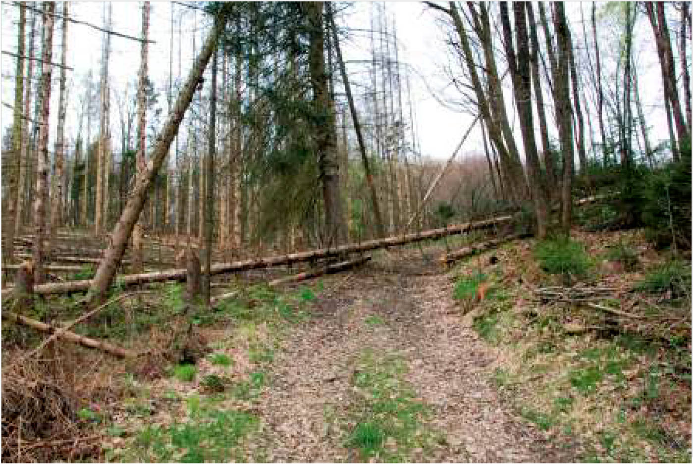 nordrheinwestpfalen 0002K0104-2023 In der Altenwiese/In der Freiheit, 51545 Waldbröl, Hermesdorf