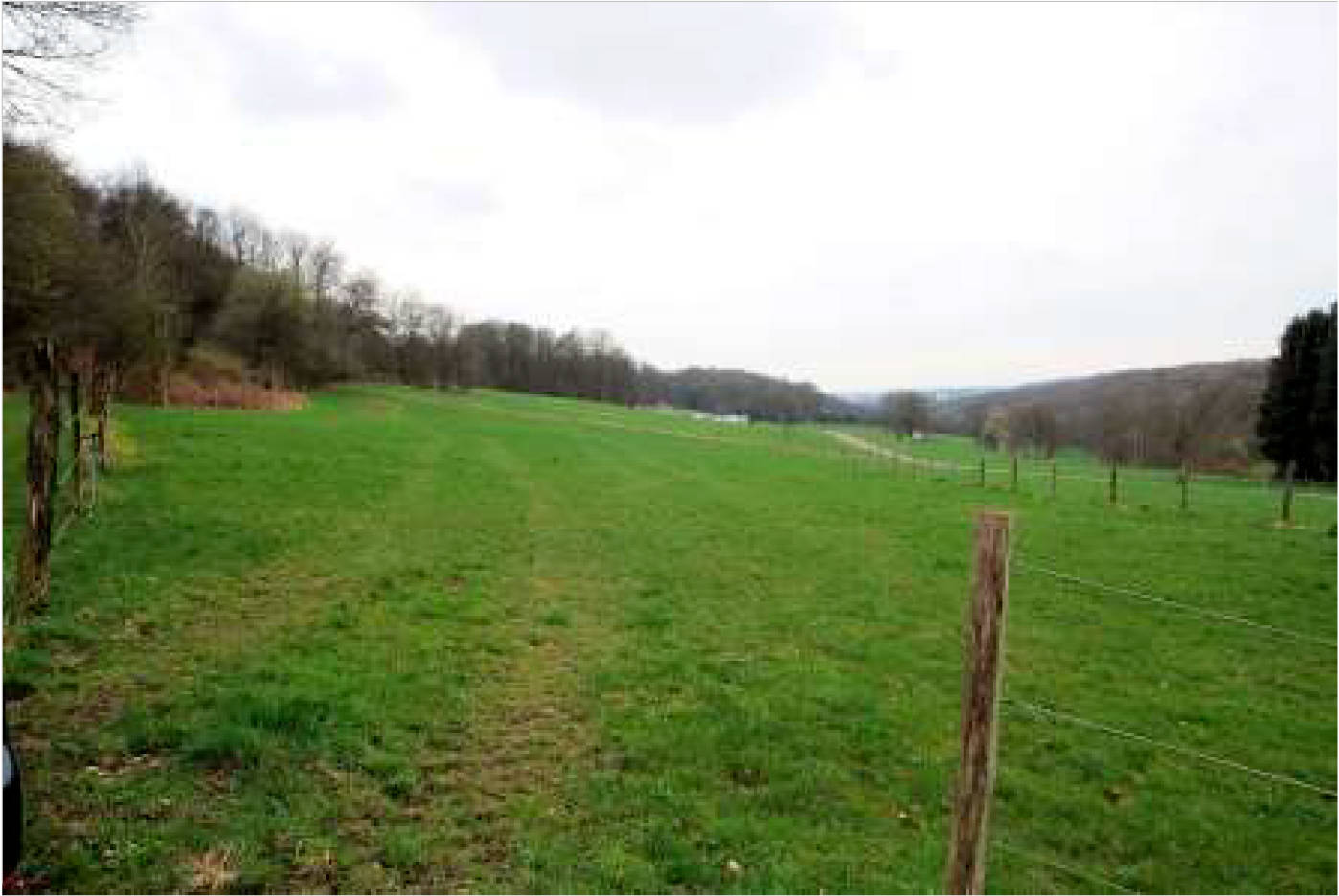 nordrheinwestpfalen 0002K0104-2023 In der Altenwiese/In der Freiheit, 51545 Waldbröl, Hermesdorf