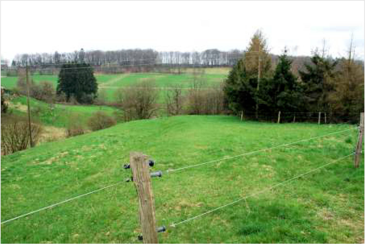 nordrheinwestpfalen 0002K0104-2023 In der Altenwiese/In der Freiheit, 51545 Waldbröl, Hermesdorf