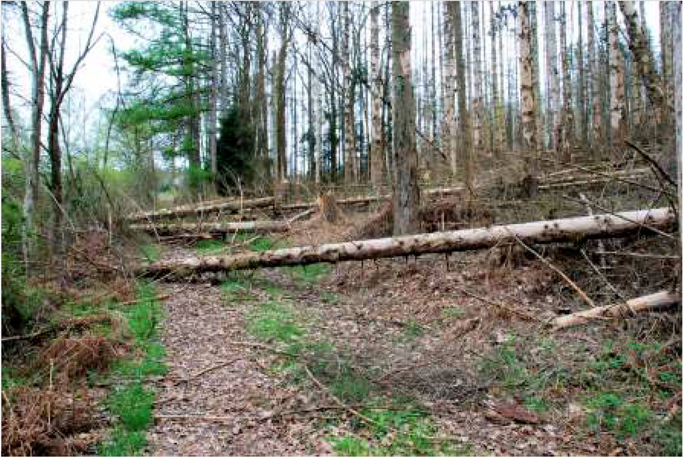 nordrheinwestpfalen 0002K0104-2023 In der Altenwiese/In der Freiheit, 51545 Waldbröl, Hermesdorf