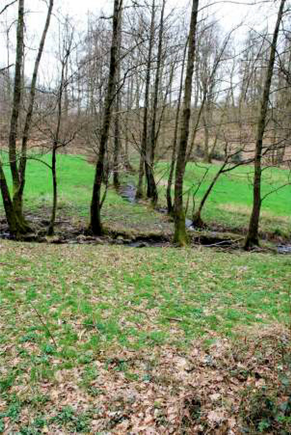 nordrheinwestpfalen 0002K0104-2023 In der Altenwiese/In der Freiheit, 51545 Waldbröl, Hermesdorf
