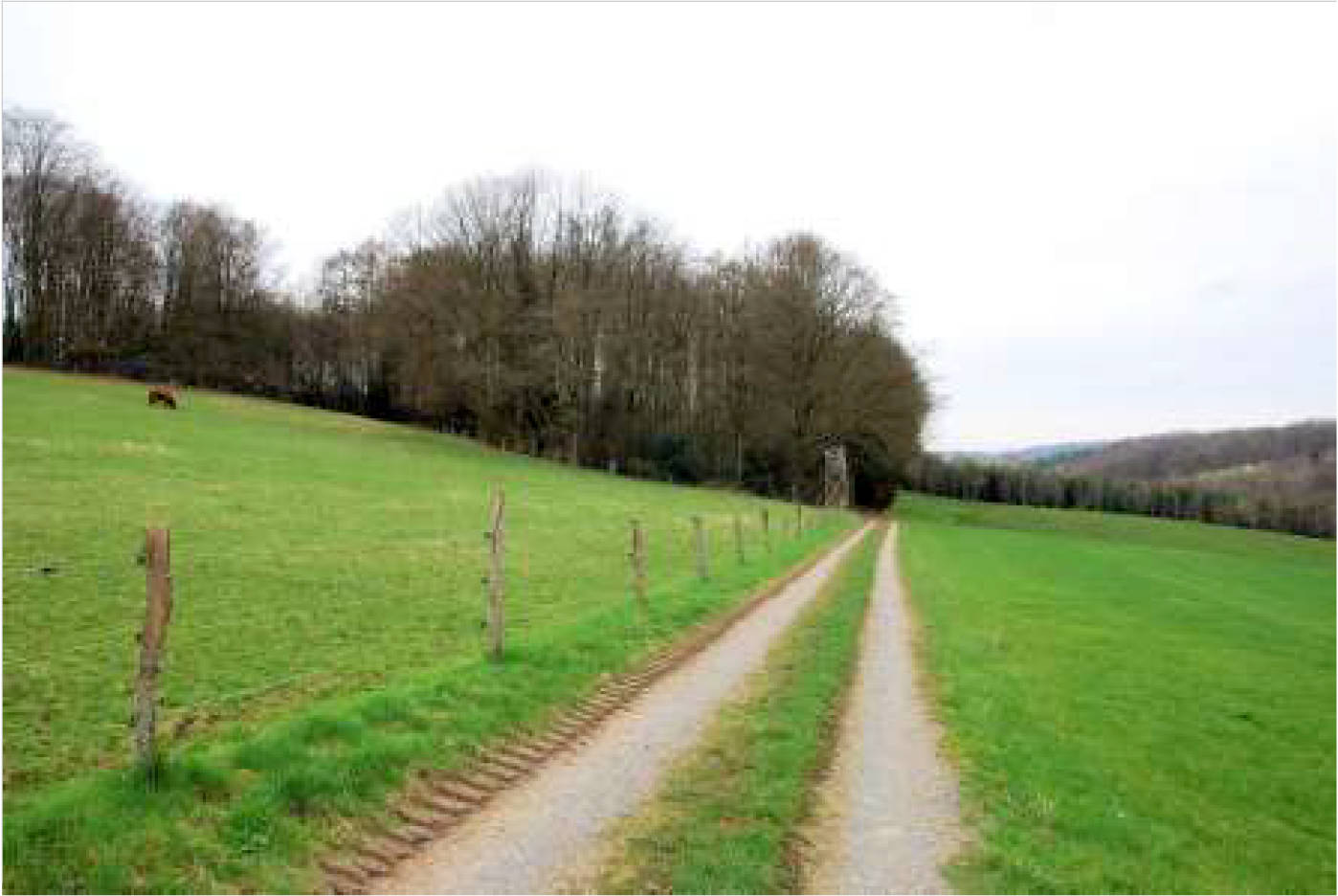nordrheinwestpfalen 0002K0104-2023 In der Altenwiese/In der Freiheit, 51545 Waldbröl, Hermesdorf