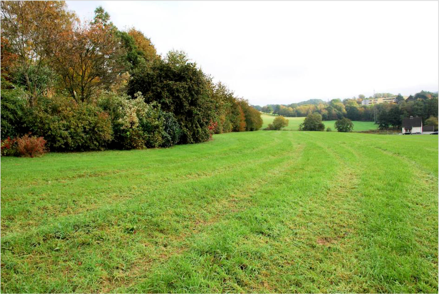 nordrheinwestpfalen 0002K0114-2023 Bohlenhagener Straße 77, 51545 Waldbröl, Bohlenhagen 19