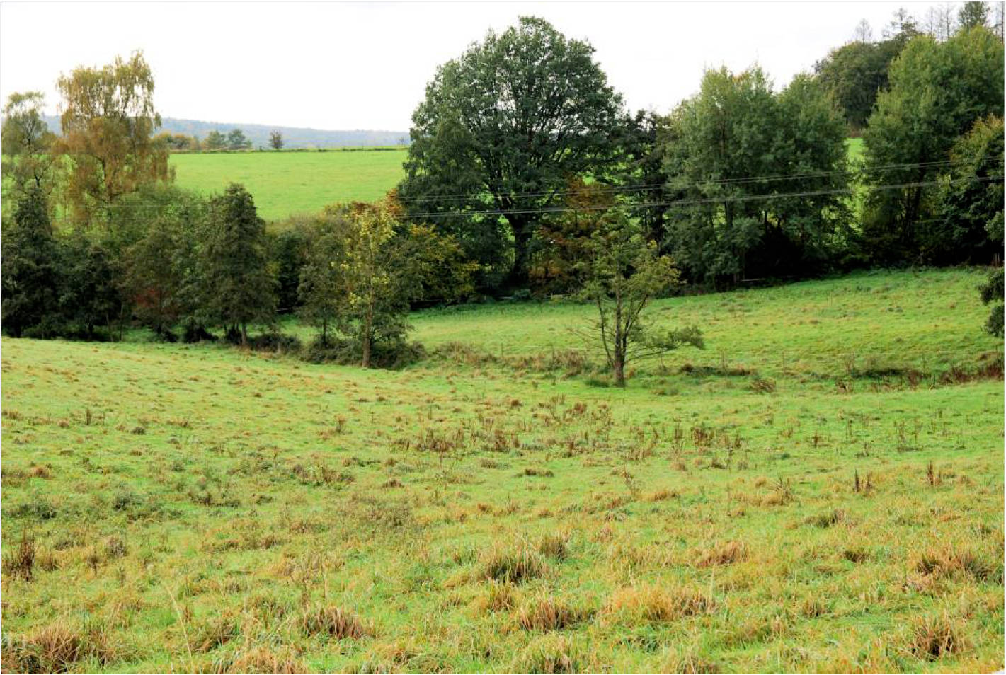 nordrheinwestpfalen 0002K0114-2023 Bohlenhagener Straße 77, 51545 Waldbröl, Bohlenhagen 11