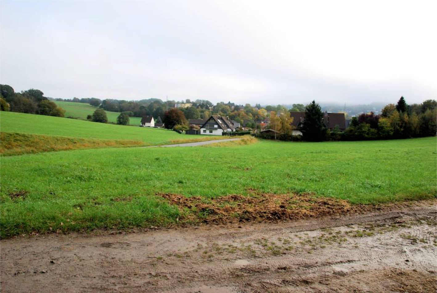 land- und forstwirtschaftlich genutztes Grundstück in Bohlenhagener Straße 77, 51545 Waldbröl, Bohlenhagen - Bild 3