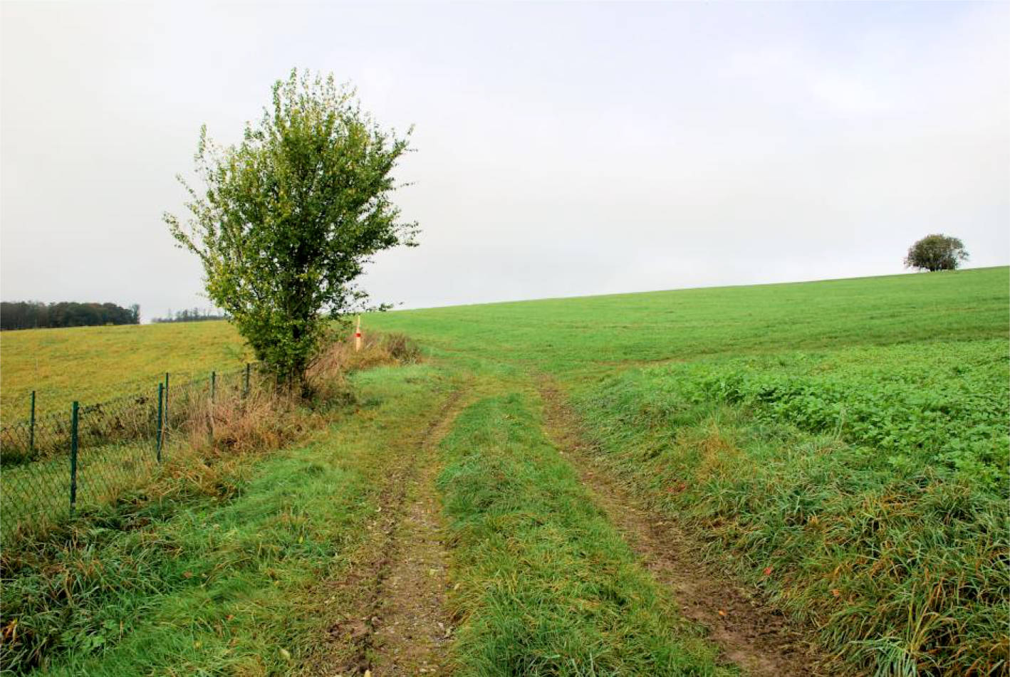 nordrheinwestpfalen 0002K0114-2023 Bohlenhagener Straße 77, 51545 Waldbröl, Bohlenhagen 10