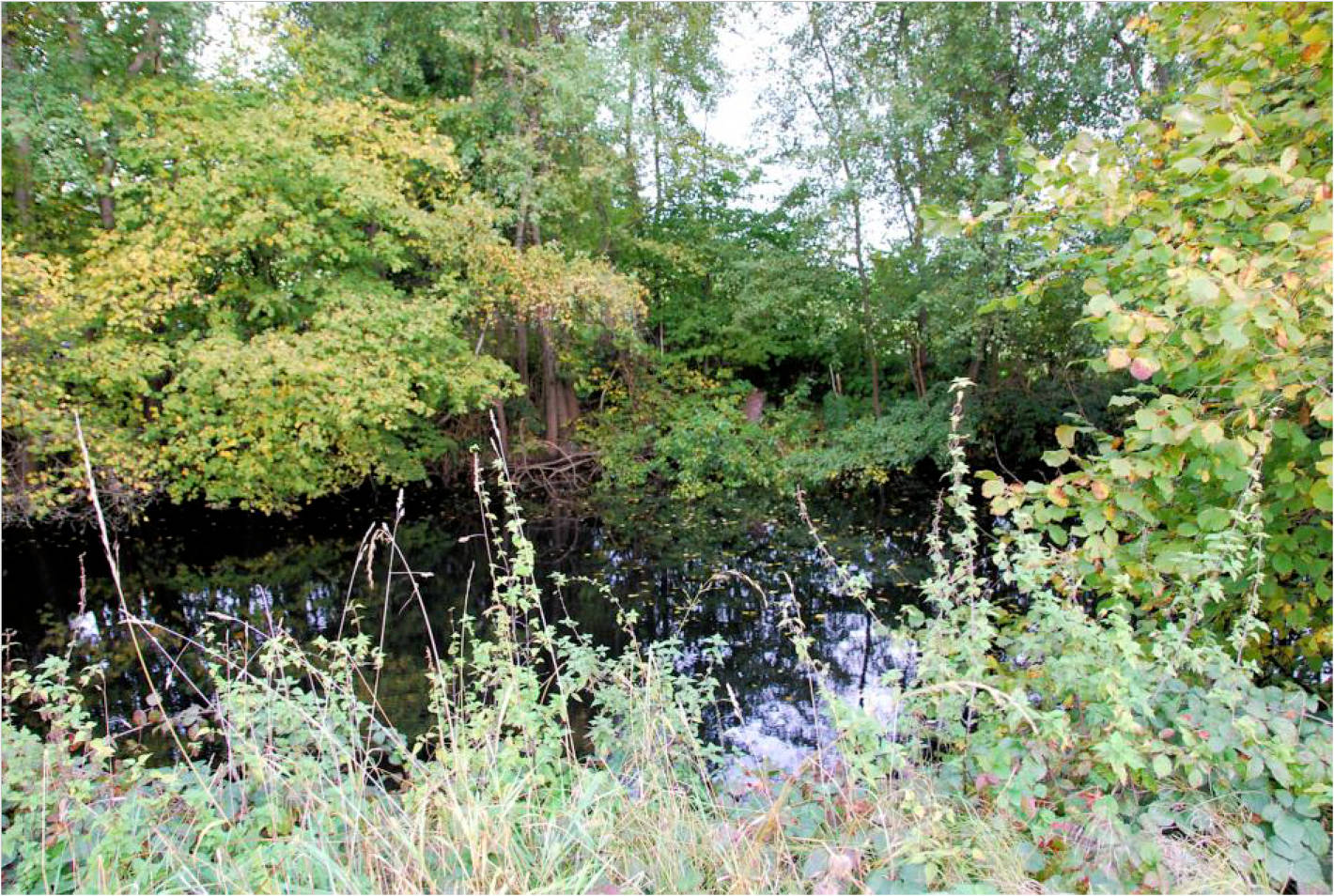 nordrheinwestpfalen 0002K0114-2023 Bohlenhagener Straße 77, 51545 Waldbröl, Bohlenhagen 7