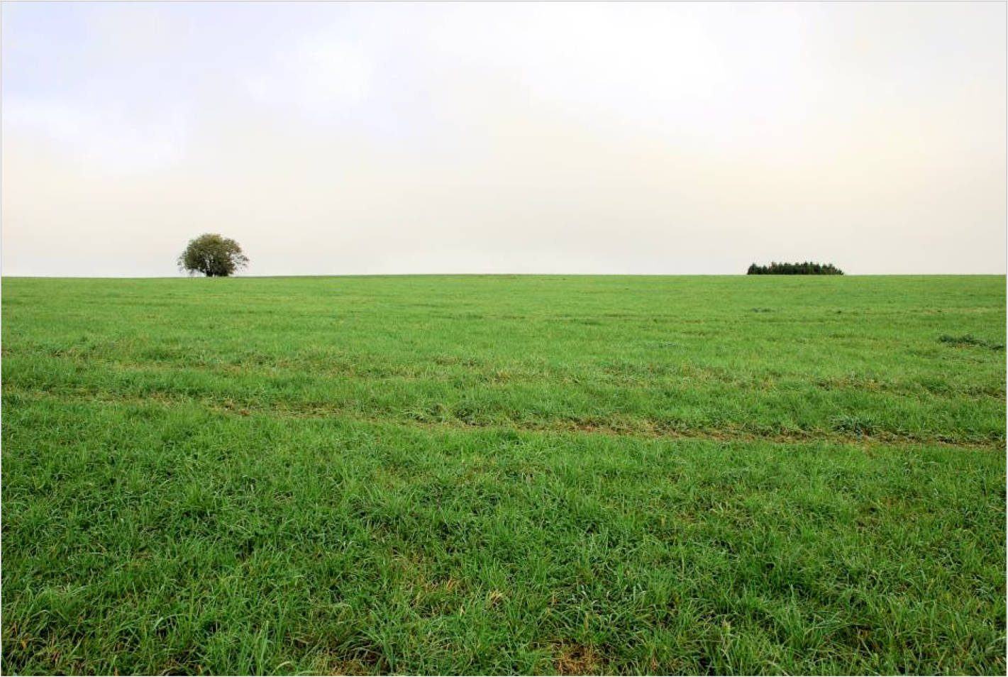 nordrheinwestpfalen 0002K0114-2023 Bohlenhagener Straße 77, 51545 Waldbröl, Bohlenhagen 6