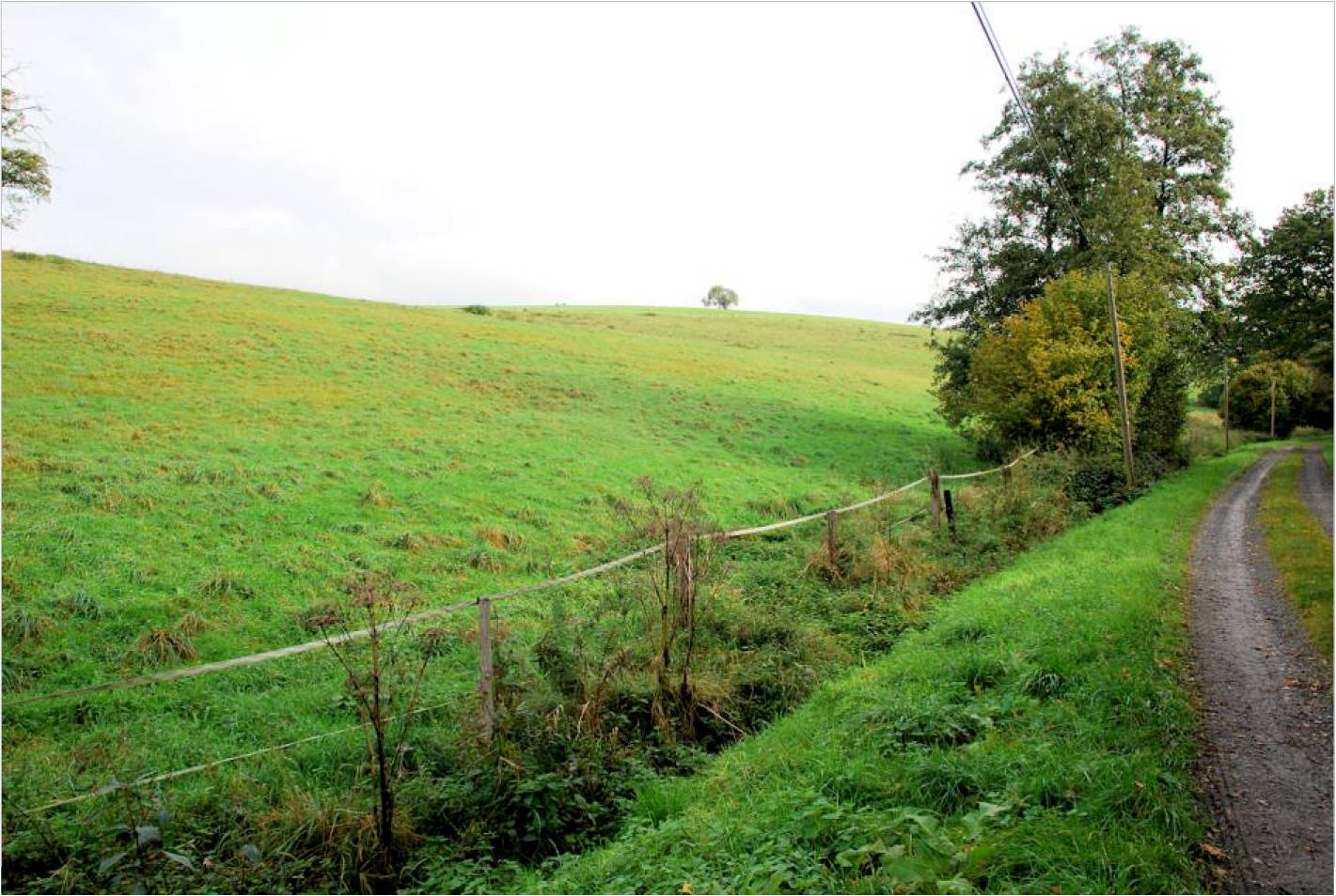 nordrheinwestpfalen 0002K0114-2023 Bohlenhagener Straße 77, 51545 Waldbröl, Bohlenhagen 14